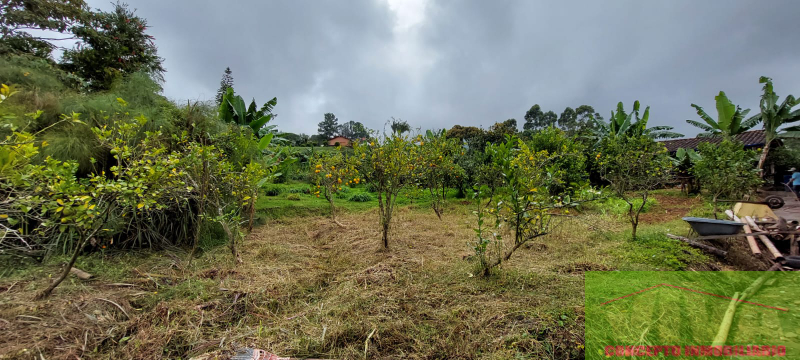 Terreno en Venta en Vereda Las Lomitas