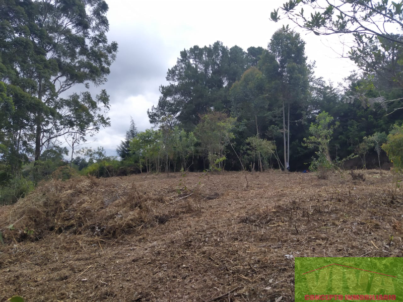 Terreno en Venta en Vereda Los Pinos