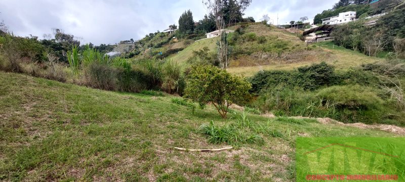 Terreno en Venta en El Canada