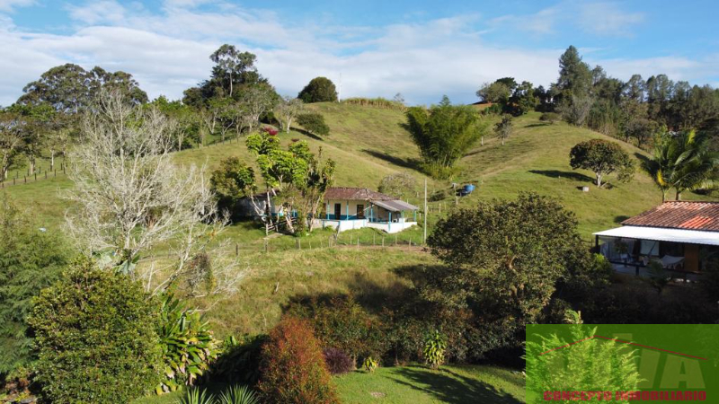 Finca en Venta en El Capiro