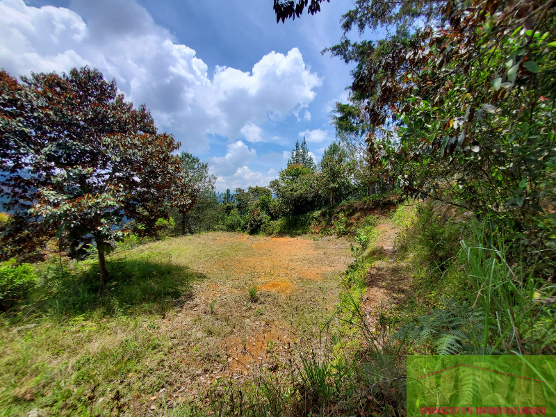 Terreno en Venta en Don Diego