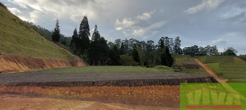 Terreno en Venta en Bosques Zoe Condominio Campestre