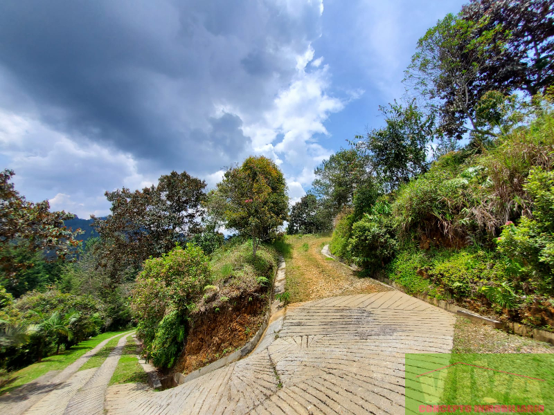 Terreno en Venta en Don Diego