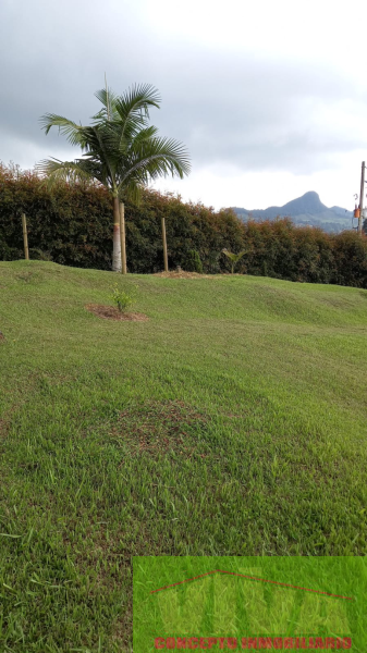 Terreno en Venta en Centro