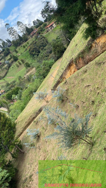 Finca en Venta en Mampuesto