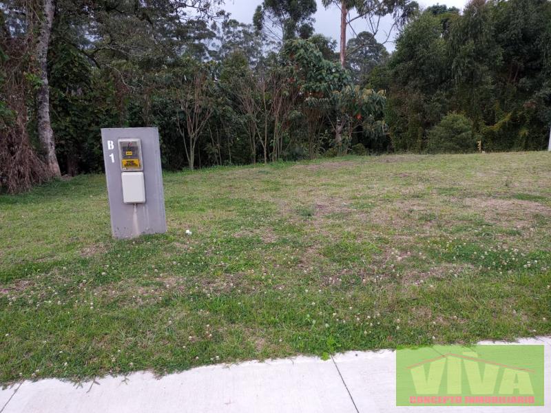 Terreno en Venta en Centro